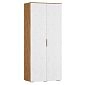 Шкаф распашной Асти-2 Белый