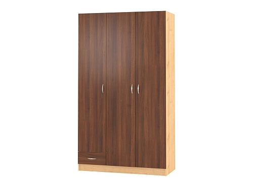 Шкаф распашной Рио-3.2 - фото 1